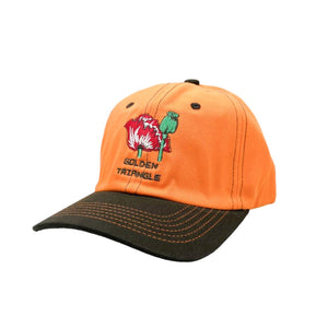 
                  
                    Golden triangle cap (orange/brown)
                  
                