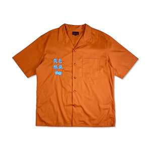 
                  
                    Button down shirt (brown)
                  
                