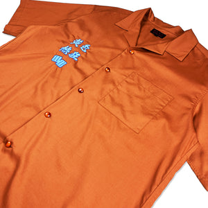 
                  
                    Button down shirt (brown)
                  
                