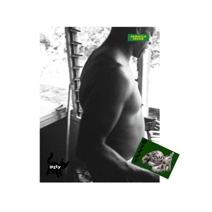 
                  
                    DIZZY Issue 8: JAMAICA EDITION, Multi
                  
                
